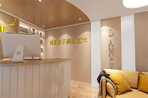 音樂舞蹈藝術(shù)學(xué)校培訓(xùn)機(jī)構(gòu)裝修全景圖